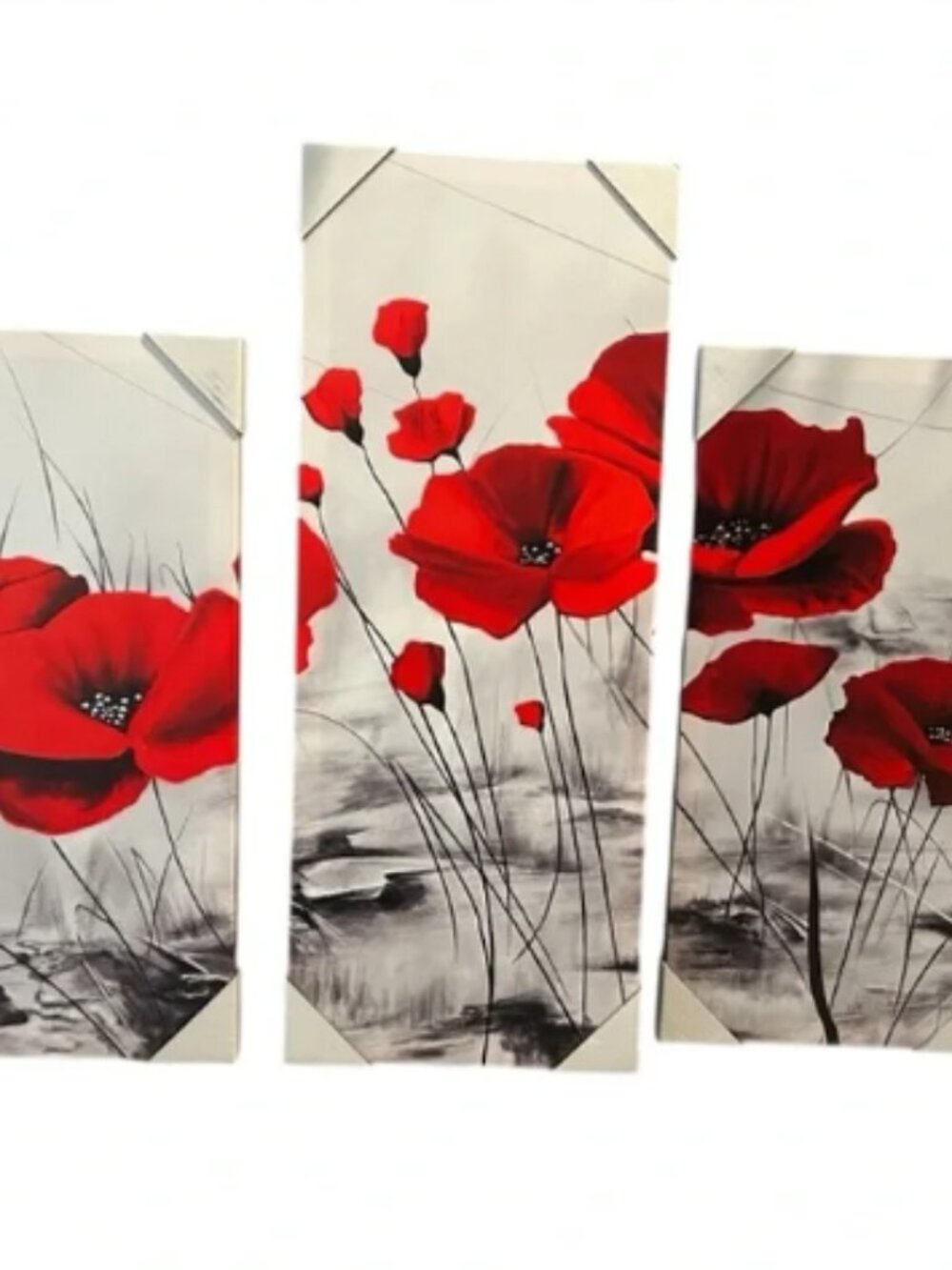 Red Poppy 5-Piece Canvas - NIB